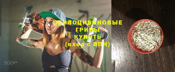 прущие грибы Бежецк