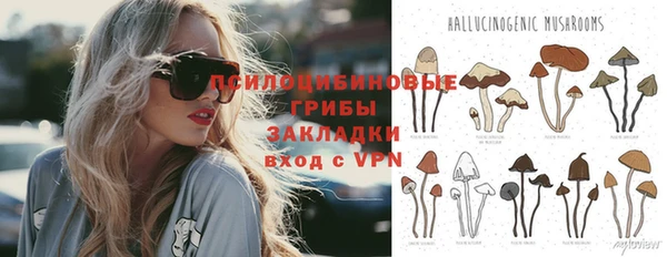 гидропоника Наволоки